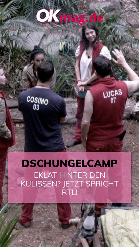 Dschungelcamp Eklat Hinter Den Kulissen Jetzt Spricht Rtl Artofit