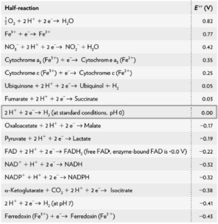 Biochem Exam Iv Flashcards Quizlet