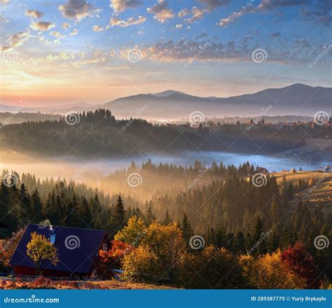 Early Morning Misty Autumn Carpathian Mountain Ukraine Stock Image