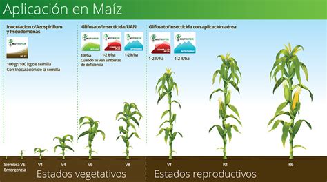 Nutrifer Uruguay Fertilizantes Foliares Y Biopotenciadores Fisiológicos