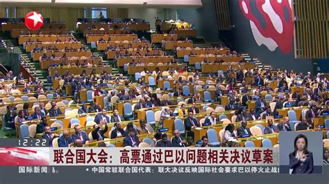 联合国大会：高票通过巴以问题相关决议草案 联合国大会 巴以 新浪新闻