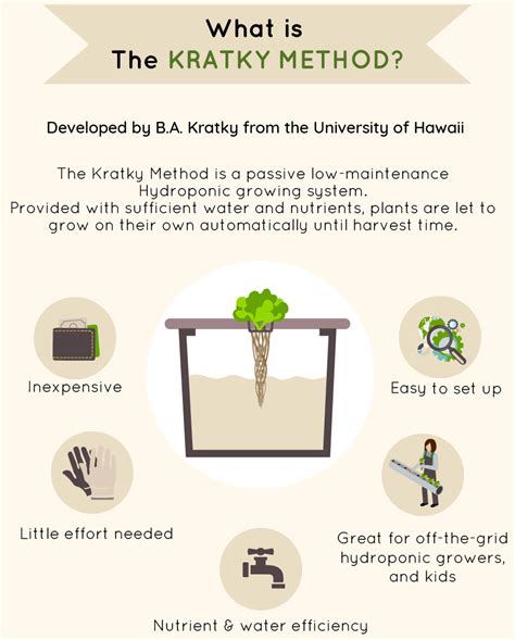 Step By Step Guide Building Your Own Aerogarden Plant And Seed Guide