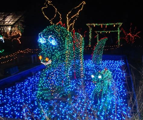 The Garden of Lights – Brookside Gardens | Eclectic Lamb