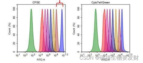 Annexin V Pe Tr Annexin V Apc Cyanine Csdn