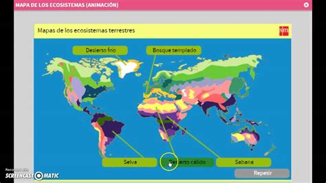 Ubicacion Del Ecosistema Terrestre Gufa