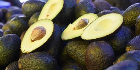 Jalisco Podrá Exportar Aguacate A Eu Tras Una Década De Espera