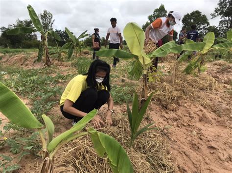 ผู้นำ ทำให้ดู พชดอนมดแดง เอามื้อสามัคคี โคก หนอง นา พช ปลูกผัก