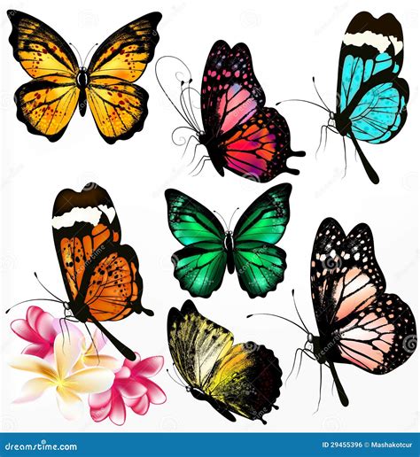 Colección De Mariposas Realistas Coloridas Ilustración del Vector