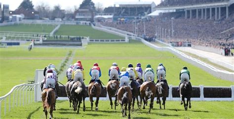 Join Sue Ryder For A Thrilling Day At The Races