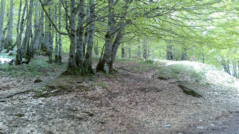 Collecció de moments La fageda de Gavarnie Les quatre estacions