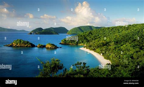 Beautiful Trunk Bay On The Island Of St John In The Us Virgin Islands