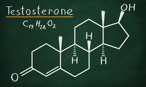 Understanding Sex Hormones In Men Rewire Me