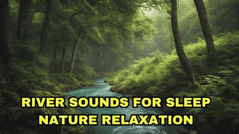 River Sounds For Sleeping 💦 Nature Sounds River Soothing Asmr Nature