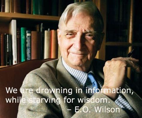 E. O. Wilson Quotes. QuotesGram