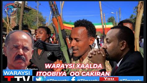 WARAYSI MUTUKU XAALADA ITOOBIYA OO CAKIRAN XABASHIDA OO WADA SHIRQOOL