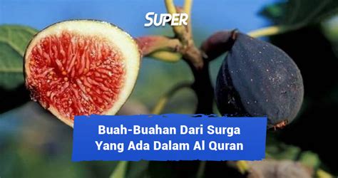 6 Buah Buahan Dari Surga Yang Disebut Dalam Al Quran