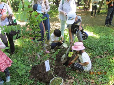 6月の観察会「森に木を植えよう」2019 06 16 森の学級のブログ