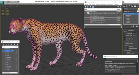 African Large Cat Cheetah Standing Pose 3d模型 3d模型 99 3ds Fbx C4d