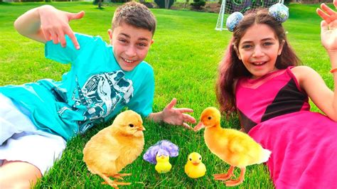 Heidi Y Zidane Juegan Con Sus Mascotas Una Gallina Y Un Pato En Una Pequeña Granja 🐤🦆 Youtube