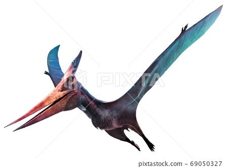 D Illustration Dinosaur Pteranodon Stock Illustration