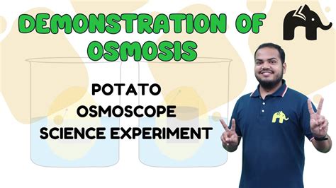 Demonstration Of Osmosis Potato Osmoscope परासरण ‌ Osmosis In