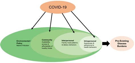 IJERPH Free Full Text The Effects Of The COVID 19 Pandemic On