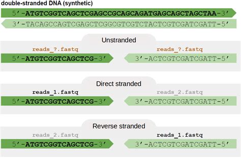 SeqNjoy Complete RNA Seq Workflows In Your Desktop