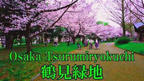 【大阪】桜の咲いた鶴見緑地をサイクリング Osaka Cycling Tsurumi Ryokuchi With Cherry Blossoms 4k Youtube