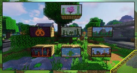 Macaw S Paintings Minecraft Pc