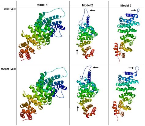 International Journal of Molecular Medicine