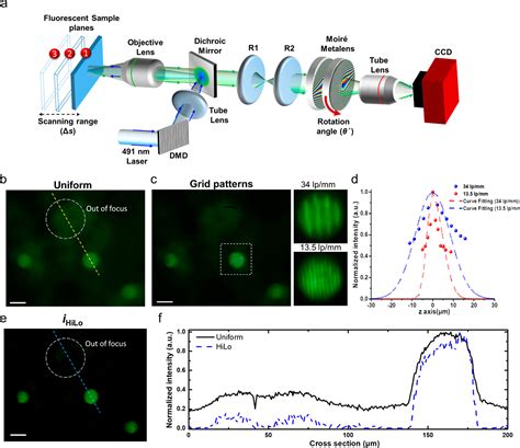 Varifocal Metalens For Optical Sectioning Fluorescence Microscopy