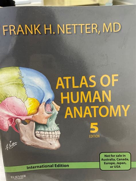 Frank H Netter Atlas Of Human Anatomy Th Edition Hobbies Toys