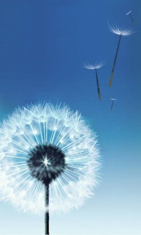 🔥 40 Samsung Dandelion Wallpapers Wallpapersafari