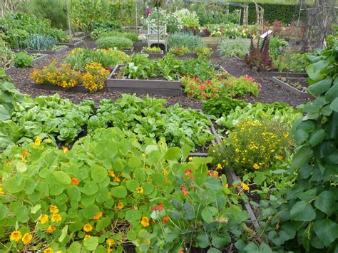 Companion Vegetable Garden Layout The Old Farmers Almanac