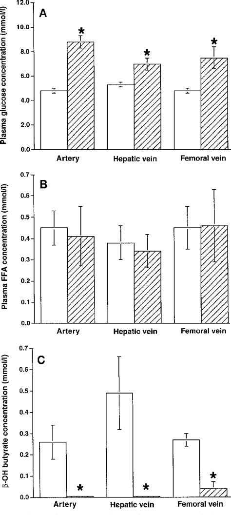 Figure 1 From Effect Of Hyperglycemia Hyperinsulinemia On Whole Body