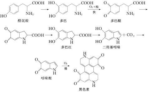 全屏显示 专题 章节