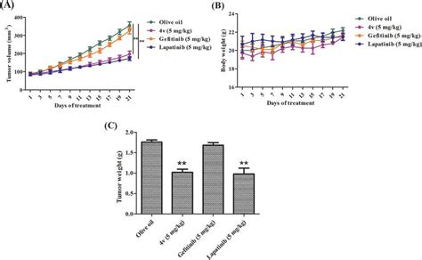 V Suppresses Tumor Growth Of Mda Mb Xenografts In Nude Mice A