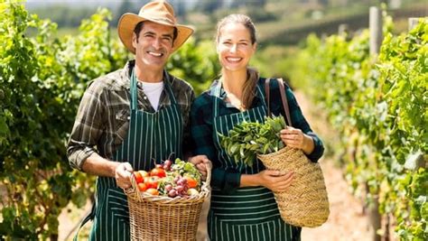 Come Aprire Unazienda Agricola A Treviso E In Veneto