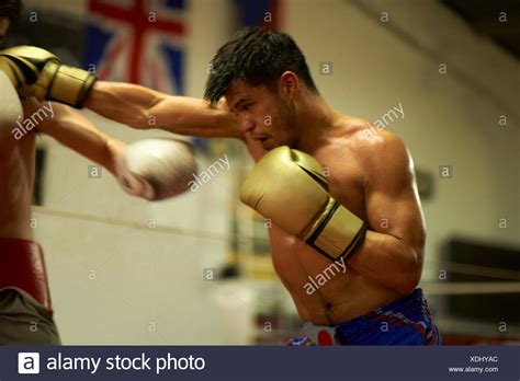 Boxers Sparring High Resolution Stock Photography And Images Alamy