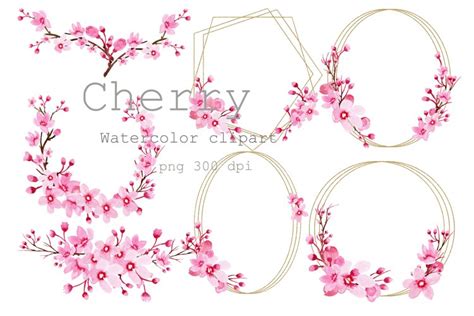 Watercolor Clipart Cherry Blossom Frames Gold Sakura Flower