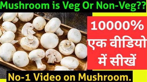 Mushroom is Veg or Non Veg 100000 एक वडय म सख India s Best