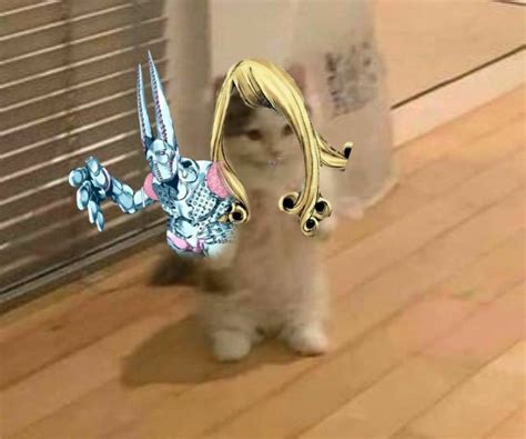 Funny Valentine Cat Pfp In 2022 Funny Valentine Valentine Cats