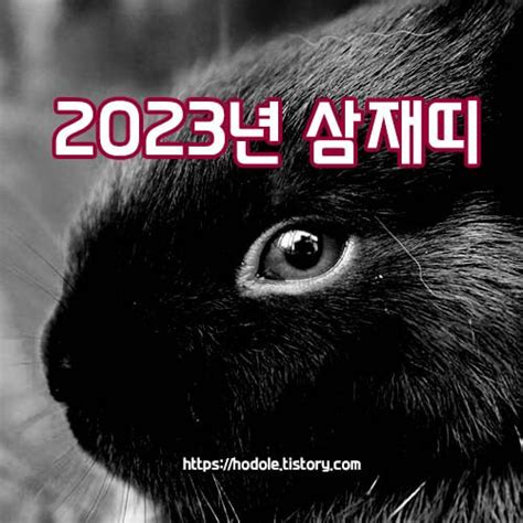 2023년 삼재띠용띠원숭이띠쥐띠 눌삼재