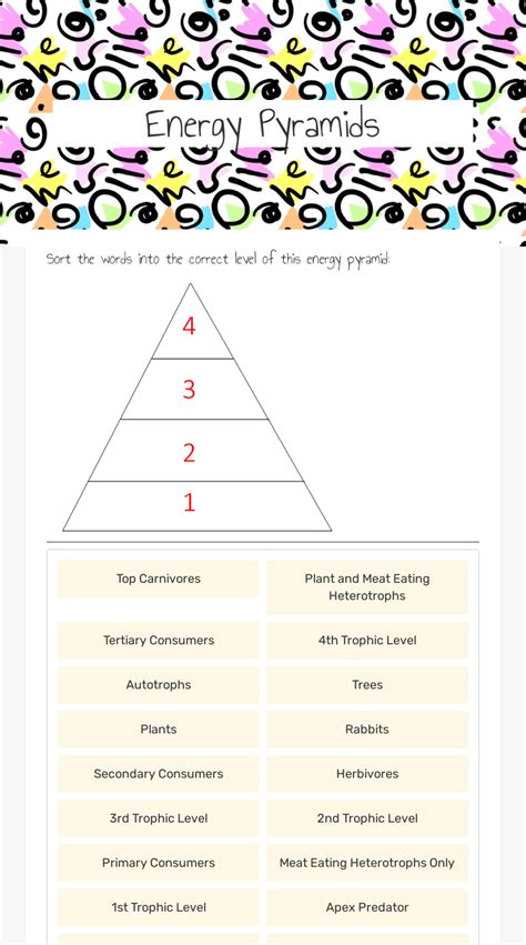 Energy Pyramids Interactive Worksheet By Meredith Berry Wizerme