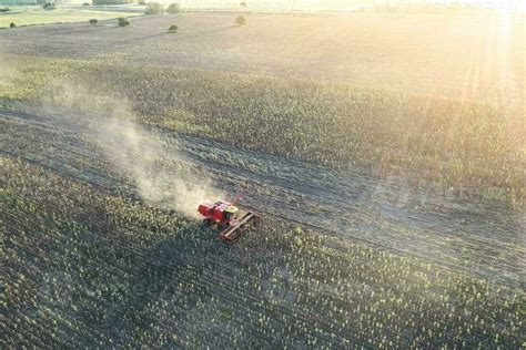 Wheat Harvest In The Argentine Countryside La Pampa Province