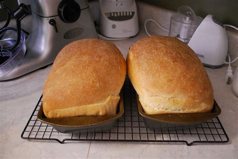 Kitchen Aid Mixer Bread - Humorous Homemaking