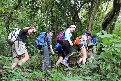 Kilimanjaro Marangu Route Days Full Moon Climb Kilimajaro