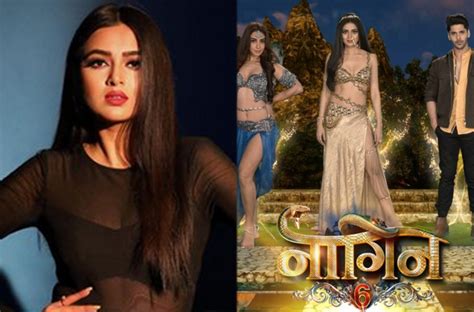 Tejasswi Prakash Starrer Naagin 6 Gets A Two Month Extension New