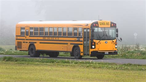 Why choose Blue Bird school buses? | Western Canada