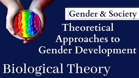 Gender And Society Theories Of Gender Development Biological Theory